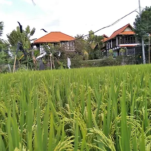 https://umah-watu-villas-bali.hotelsseminyak.net